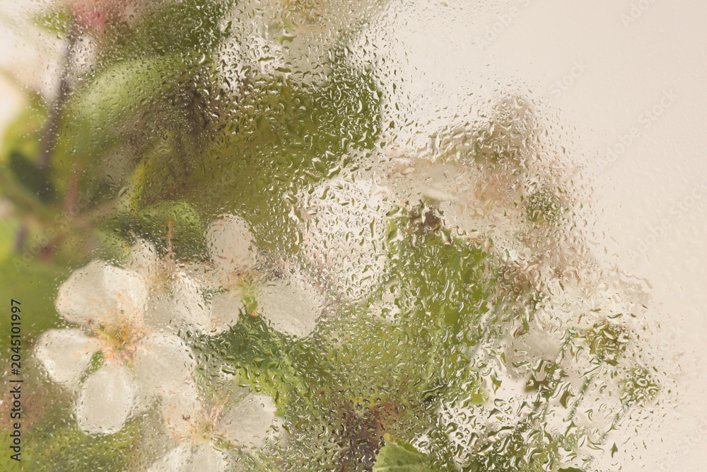 Fototapeta premium Soft focus green, beige leaf and flower bouquet through glass with wet water drops. Abstract natural blur background.
