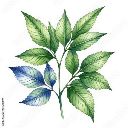 A branch with green leaves and one blue leaf