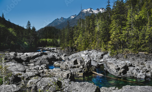 Wally Creek