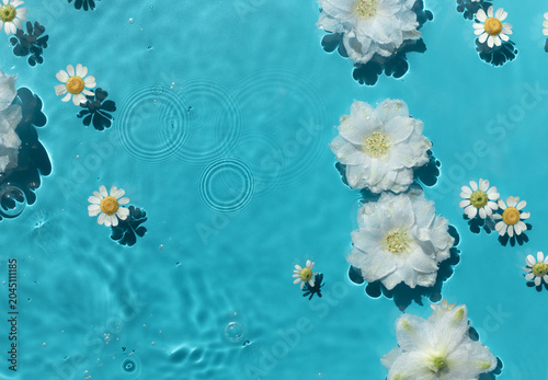 Chamomile and larkspur flowers swim in transparent water texture on blue background with harsh sunlight	