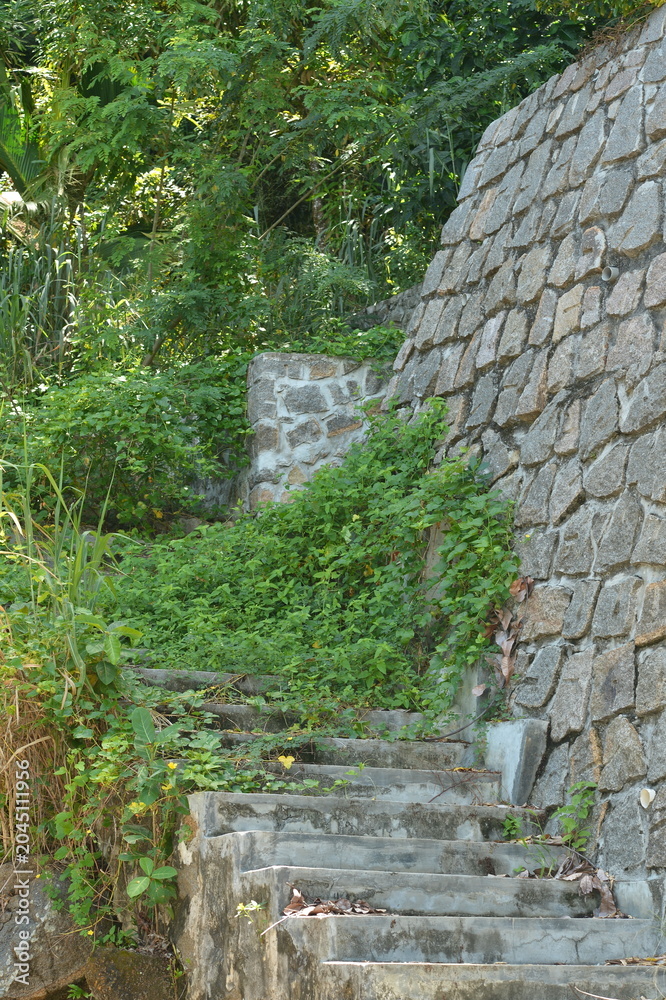 Obraz premium Old stone outdoor staircase with ivy