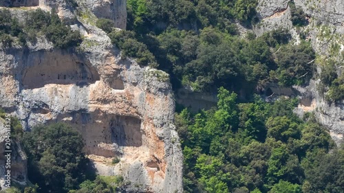 a flock of wild Griffon vultures (Eurasion griffon, Gyps fulvus) soaring and gliding in flight