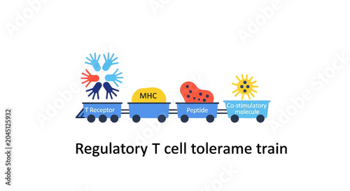 Regulatory T Cell Tolerance Train Illustration: Immune System Activation and Regulation