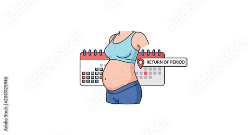 Pregnant belly, calendar, return of period concept illustration