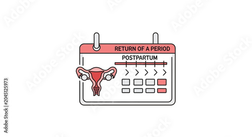Postpartum Uterus and Calendar Icon Representing Return of Period