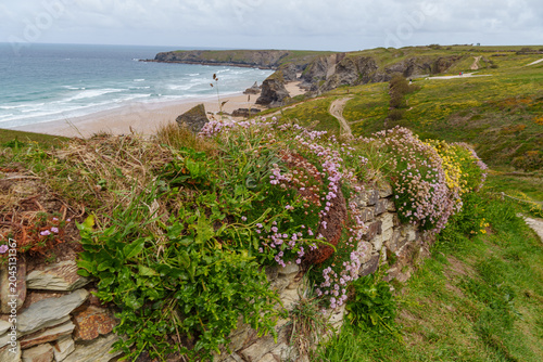 Tableau sur toile Frühling an den Bedruthan steps in cornwall