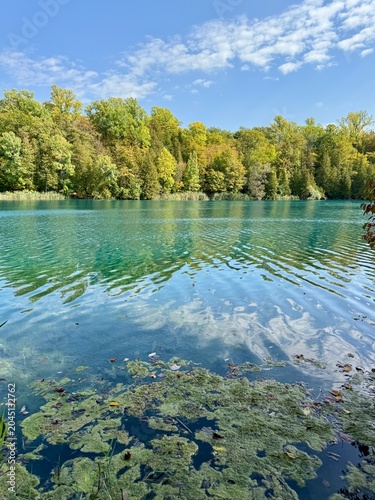 Lake scene on a sunny day with calm waters, a treelined lakeshore and no people.