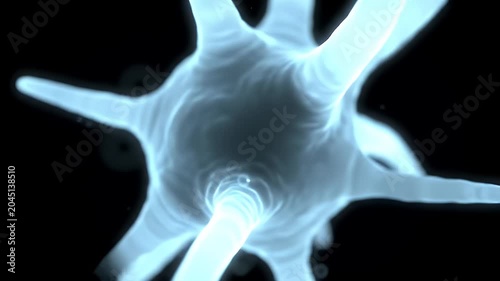 Neuron Cell.