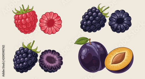 Assortment of Fresh Berries and Plums: Raspberries, Blackberries, and Plums