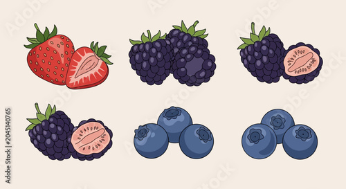 Assortment of Fresh Berries: Strawberries, Blackberries, and Blueberries
