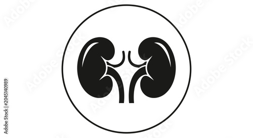Black and white icon of human kidneys inside a circle, symbolizing health and medical care.