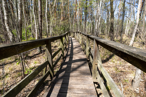 A s[ring walk along the forest trail
