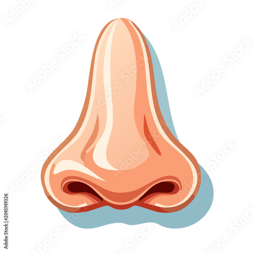 Close-up illustration of a human nose with shadow
