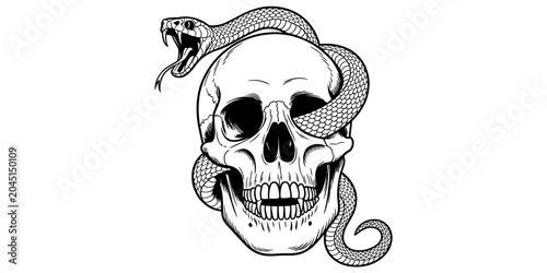 Fierce snake coiled around a human skull hand drawn ink style illustration for a cool tattoo design or gothic artwork with detailed scales and sharp teeth Vector, illustration