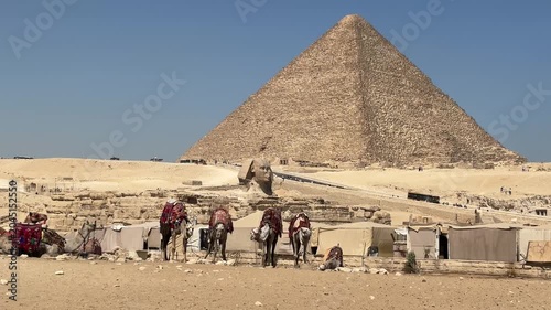 The Great Sphinx of Giza is a sphinx statue located in the Giza pyramids area in Cairo, the capital of Egypt. 