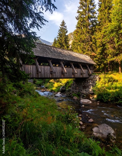Rustic Wooden Covered Bridge Spanning Mountain Stream in Lush Evergreen Forest
