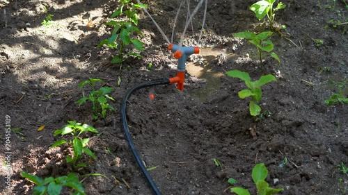 water sprinkler spraying water