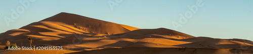 Fotografi Panorama of sand dunes in the Sahara Desert, in late afternoon light, in Merzoug