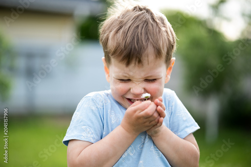 Quadro em tela Cute little boy smelling a daisy flower in sunny green garden