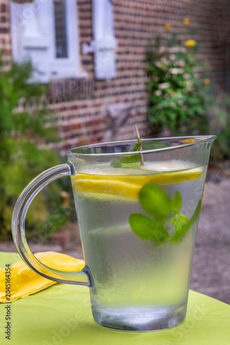 Refreshing Drink With Lemon and Mint in Garden