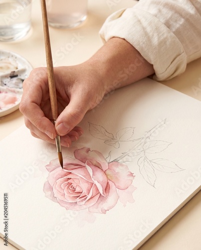 Hand painting delicate pink rose watercolor on cream paper macro botanical art