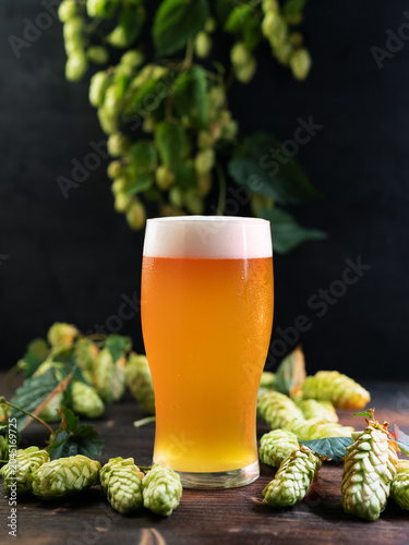 Refreshing cold beer in a glass with drops of water on a wooden table next to green cones of fresh hops. A pint of craft beer