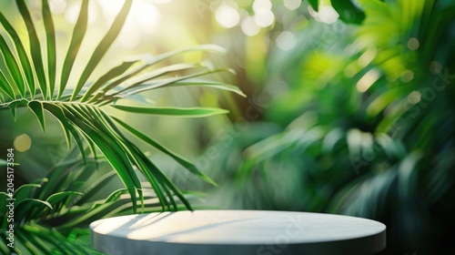 Tropical Palm Leaves Background with Soft Focus Copy Space