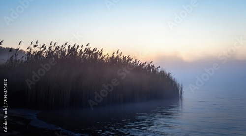 Tall reeds stand silhouetted against a soft sky at dawn. Mist rolls over calm water creating a tranquil, serene morning scene. Sunlight gently breaks through haze over the landscape.