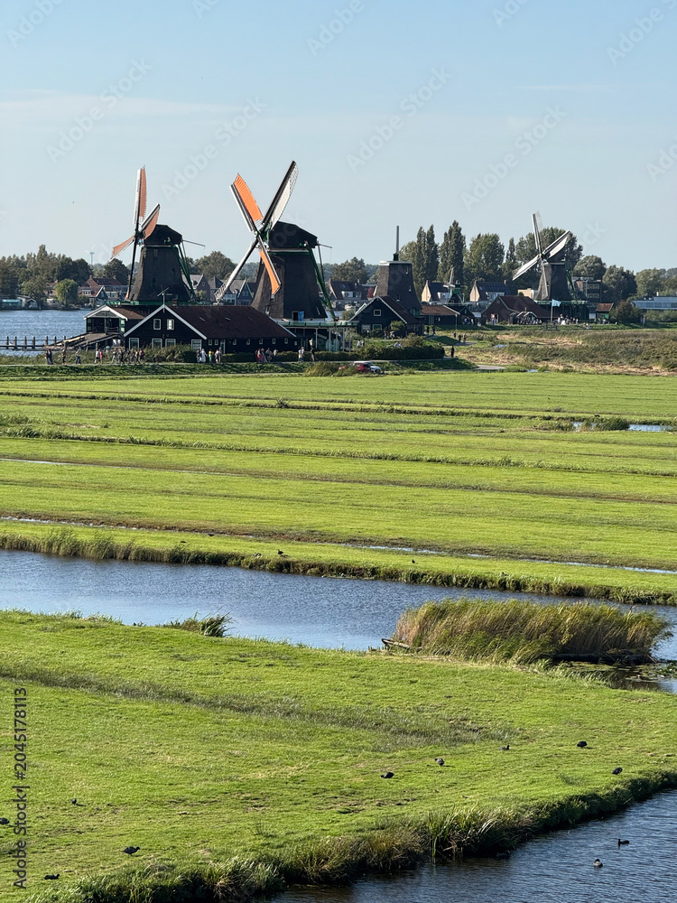 Fototapeta premium Zaandam, Netherlands - September 19, 2025: Row of Historic Dutch Windmills Along a Tranquil Canal Surrounded by Green Meadows at Zaanse Schans