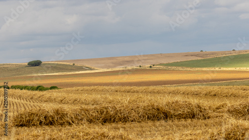 Marlborough Downs at harvest time in the UK. Crops harvested.