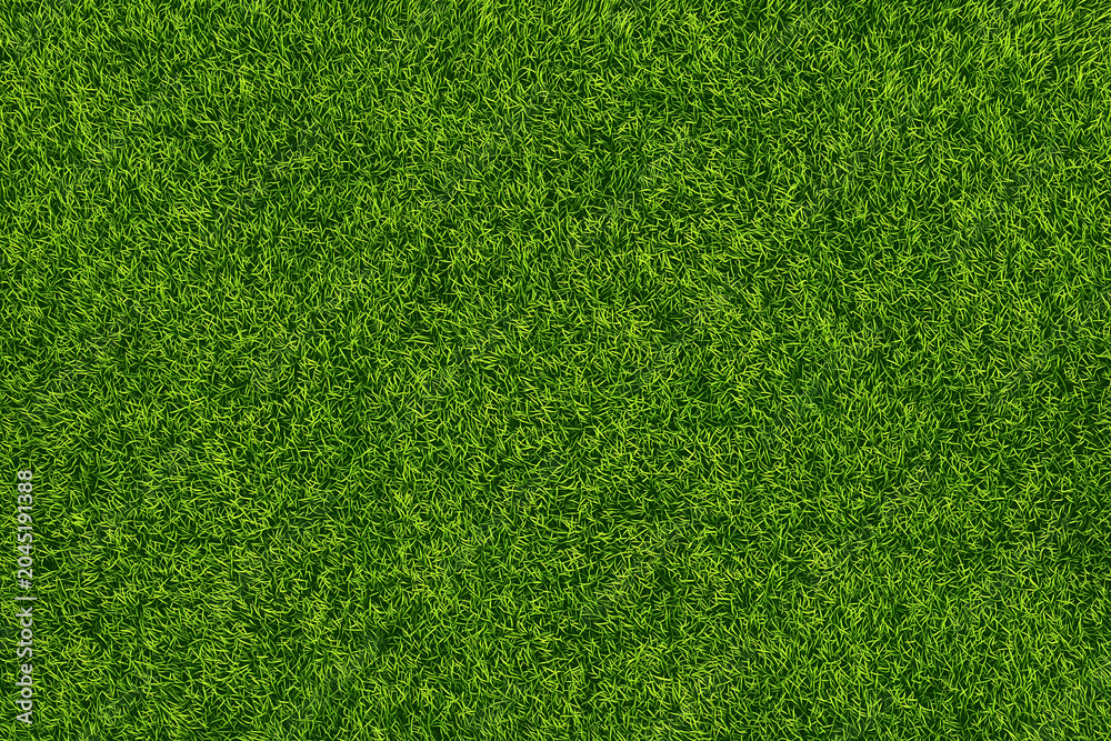 Obraz premium green grass texture closeup natural lawn surface for background or landscape use