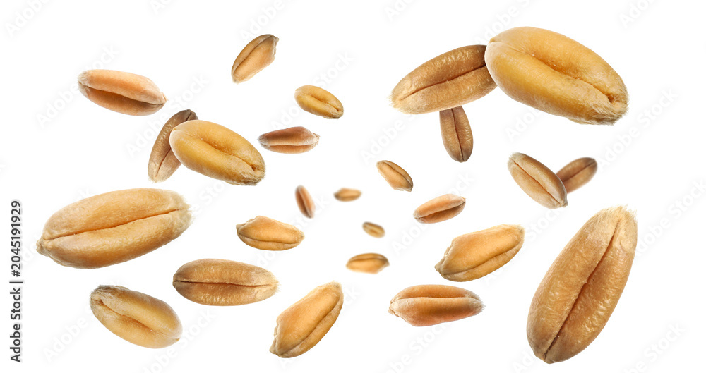 Obraz premium Wheat grains flying in air against white background