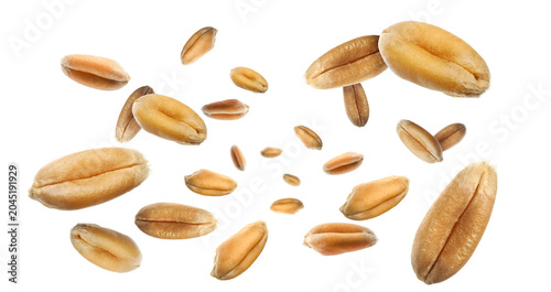 Wheat grains flying in air against white background