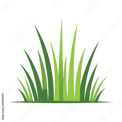 Green grass icon on white background