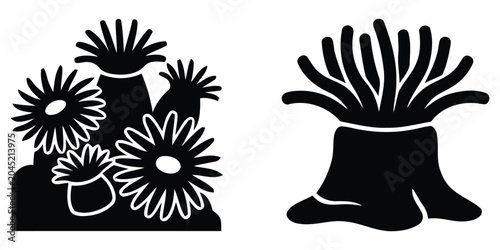 Photography Sea anemone silhouettes on a white background a graphic depiction of marine inve