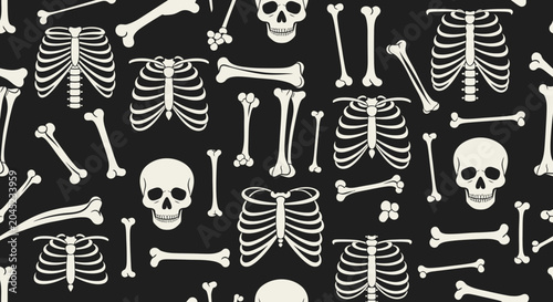 Bild auf Leinwand Human Skeleton Bones and Skulls Pattern.