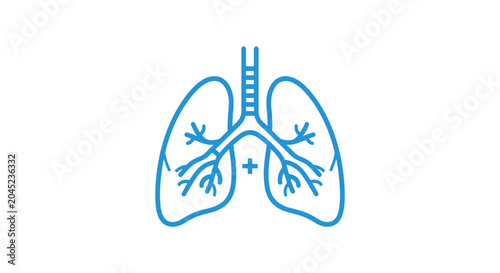 Quadro su tela Human lungs anatomy medical illustration.