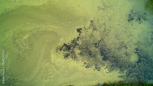 Fotografia A direct top-down drone photograph looking down at a massive green algae bloom coating the surface of a stagnant pond, creating natural swirling abstract patterns and textures in the water