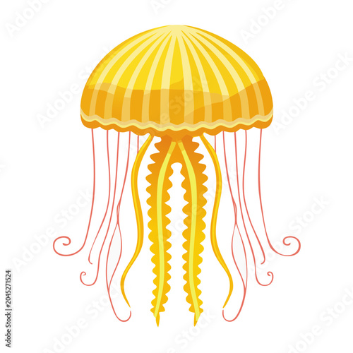 Yellow jellyfish illustration on white background