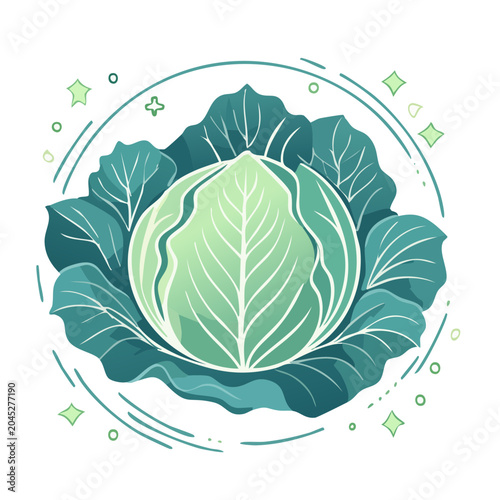 Flat design illustration of a fresh green cabbage