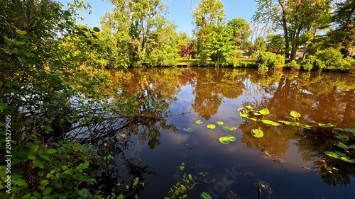 The park is famous for its picturesque pond.