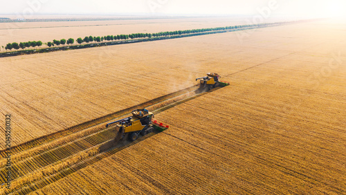 Bild auf Leinwand Aerial view of two combine harvesters operating in a sprawling golden wheat farmland during harvest season, with neat tree lines on the horizon