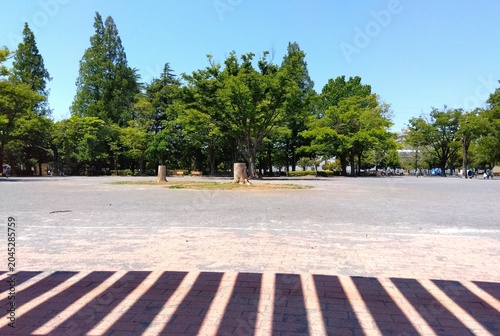 テラスの屋根の影のある初夏の朝の住宅地の公園風景
