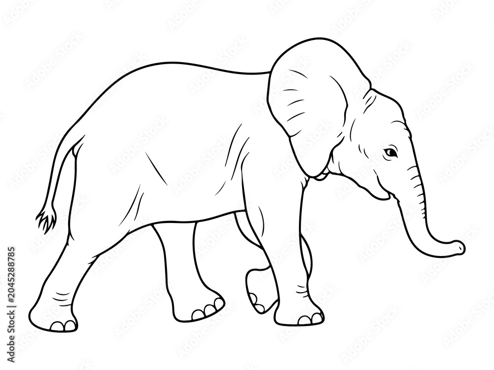 Fototapeta premium Vector of the outline elephant contour. Hand drawn line art elephant isolated on white background, Minimalist coloring pages for kids for brain development 