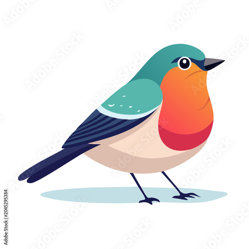 Cute robin bird illustration in flat design style
