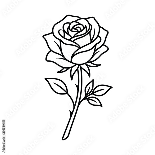 Detailed Black Line Drawing of Rose.