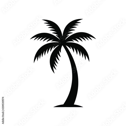 Black silhouette of a palm tree.