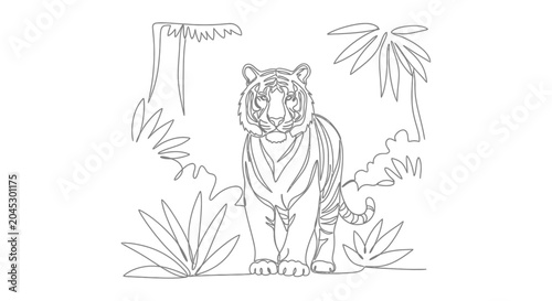 Photography Tiger standing in jungle, continuous line drawing, minimalist illustration, wild