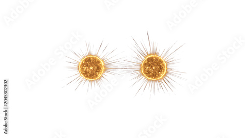 Microscopic view of two cells