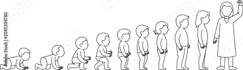 Human Life Stages: A visual representation of human development, depicting a baby crawling, then toddler, child, pre-teen, teenager, and finally an adult woman.